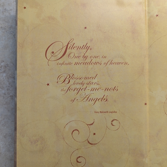 Pretty 😇 Renaissance Angel 😇 Journal - Picture 2 of 5